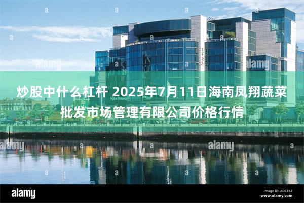 炒股中什么杠杆 2025年7月11日海南凤翔蔬菜批发市场管理有限公司价格行情