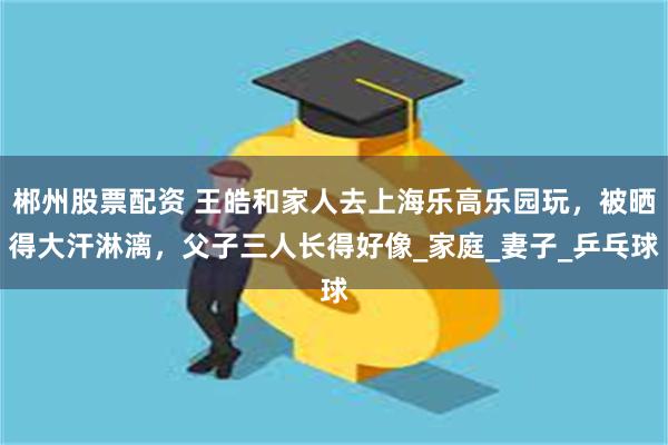 郴州股票配资 王皓和家人去上海乐高乐园玩，被晒得大汗淋漓，父子三人长得好像_家庭_妻子_乒乓球