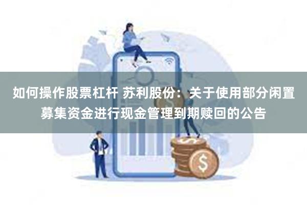 如何操作股票杠杆 苏利股份：关于使用部分闲置募集资金进行现金管理到期赎回的公告