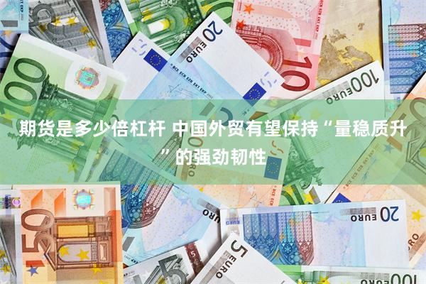 期货是多少倍杠杆 中国外贸有望保持“量稳质升”的强劲韧性