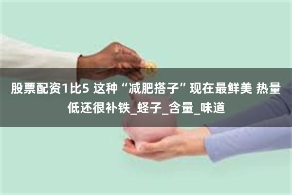 股票配资1比5 这种“减肥搭子”现在最鲜美 热量低还很补铁_蛏子_含量_味道